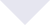 n2 grey2 triangle